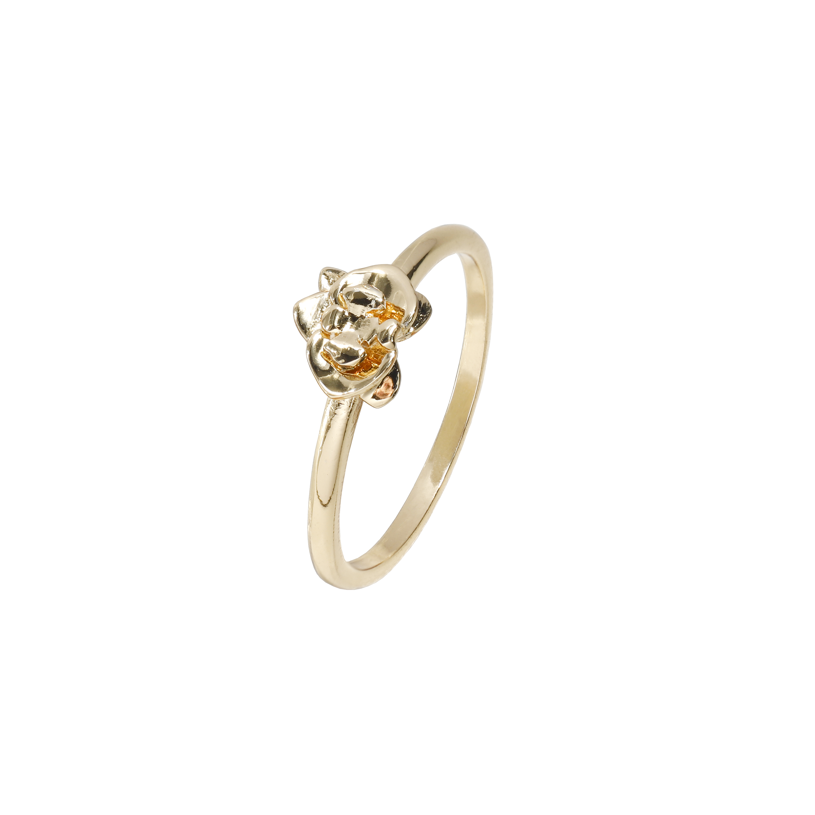 Aliança Orquidea Dourado