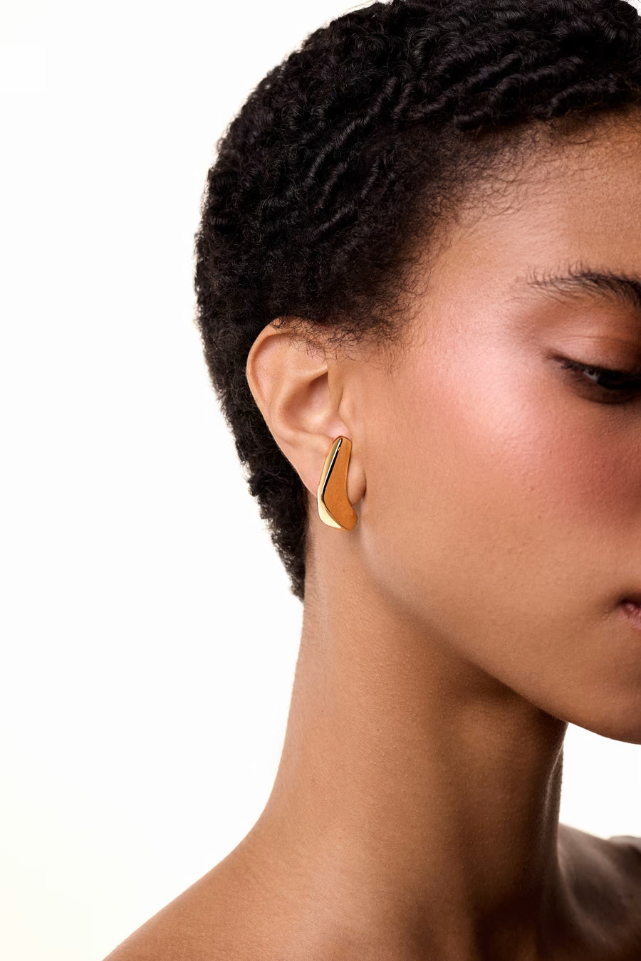 Earhook Dualis